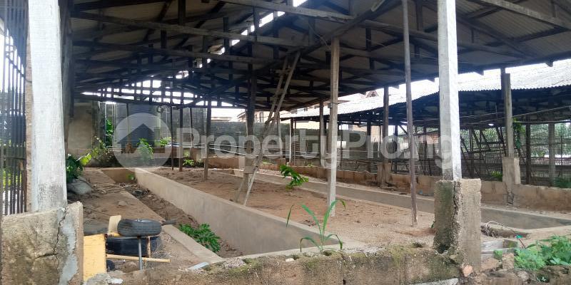 Land for sale Ibafo Off Lagos/ibadan Express Way Arepo Arepo Ogun - 0