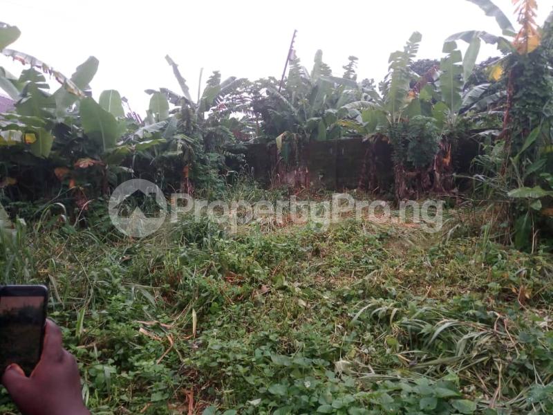 Land for sale Uyo Village Road Uyo Akwa Ibom