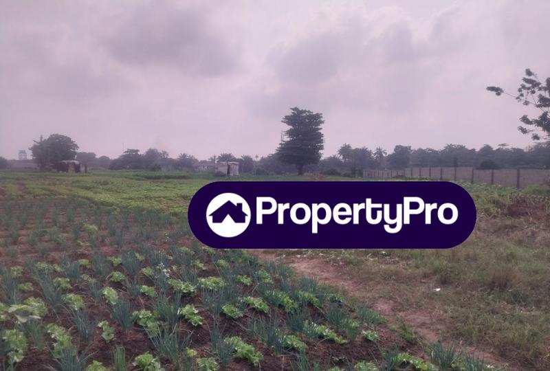 Land for sale Tejuosho, Yaba, Lagos Yaba Lagos