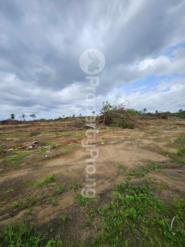 Land for sale Jasper Island Estate, Trans Woji Port Harcourt Rivers - 0