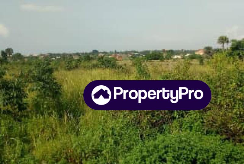 Land for sale Marshy Hills Estate, Akins Bus Stop, Badore, Ajah, Lagos Ajah Lagos