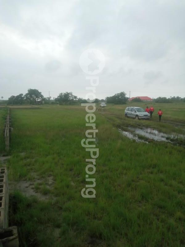 Land for sale Free Trade Zone Ibeju-Lekki Lagos - 1