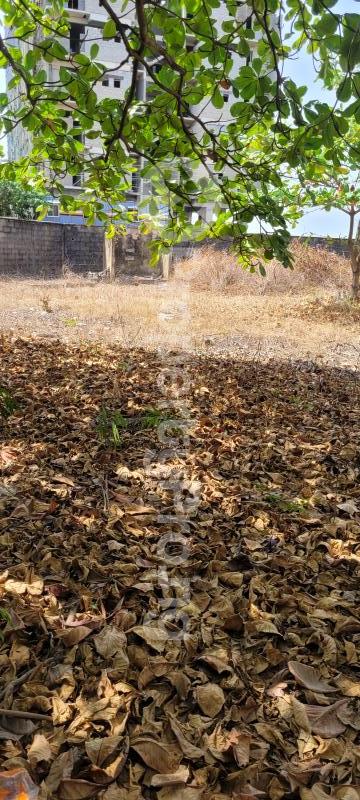 Land for sale Cameron Old Ikoyi Ikoyi Lagos