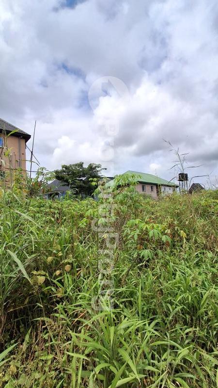 Land for sale Umuodu, Spibat Owerri Imo - 0