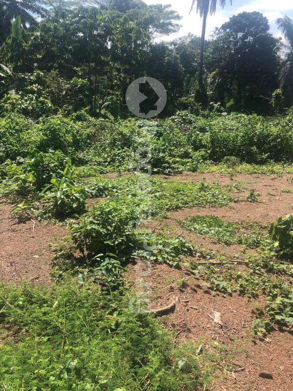 Land for sale Adebayo Odo Ona Kekere Ibadan Nigeria Odo ona Ibadan Oyo