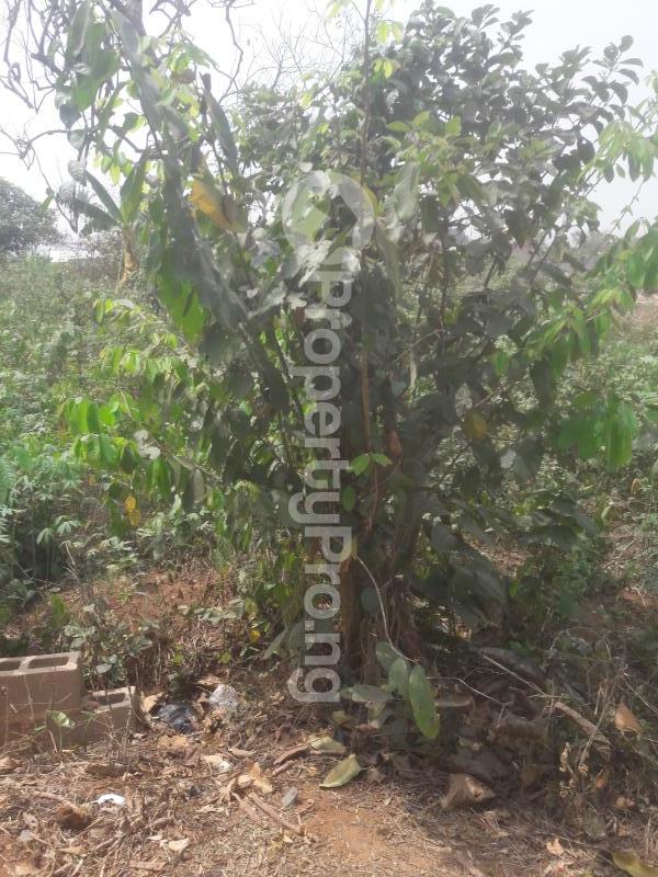 Land for sale Ikola Command Abule Egba Lagos Abule Egba Lagos - 0