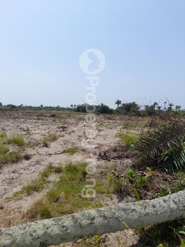 Land for sale 2 Minutes From Lacampagne Tropicana Beach Resort Ise town Ibeju-Lekki Lagos - 0