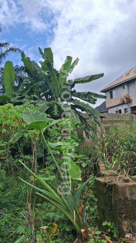 Land for sale Chief Iwu Extension, Old Apama House, Owerri Imo - 0