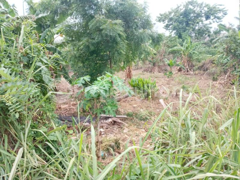 Land for sale Kebbi House Wuse 2, Fct Abuja. Central Area Abuja