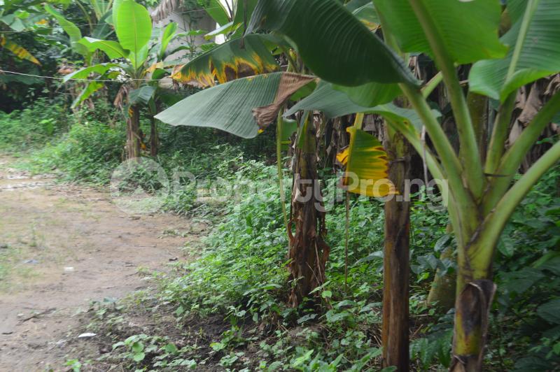 Land for sale Uyo Akwa Ibom