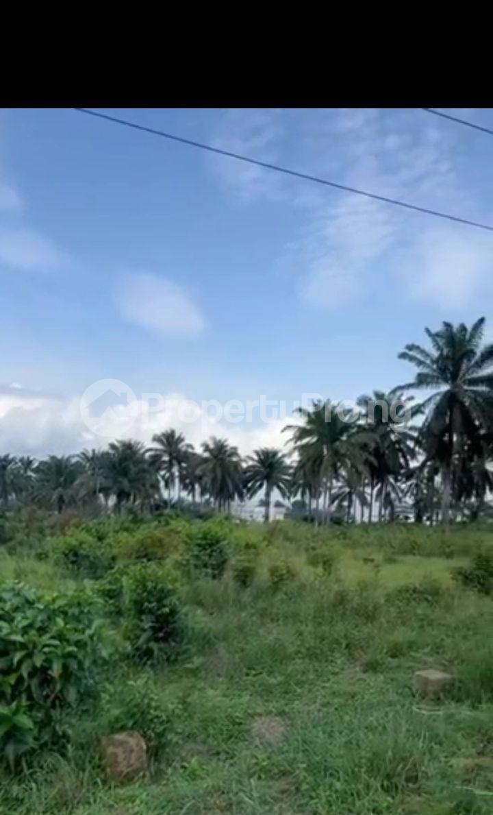 Land for sale Uyo Akwa Ibom