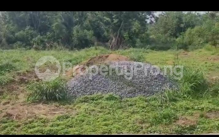 Land for sale Federal Ministry Of Agric Beside Carlton Gate Akobo Ibadan Oyo - 1