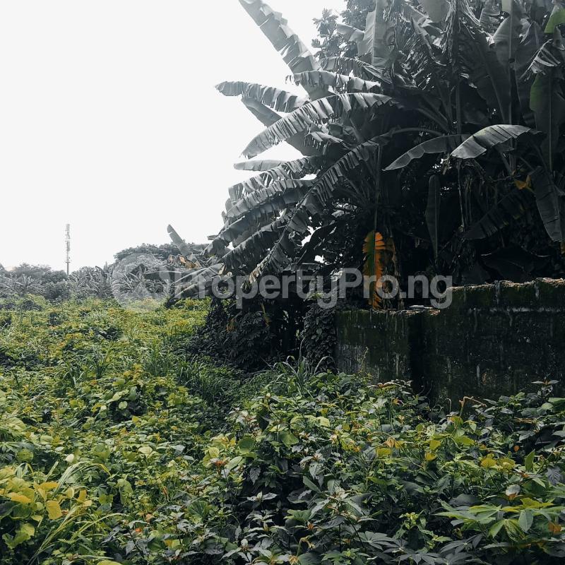 Land for sale Uyo Akwa Ibom