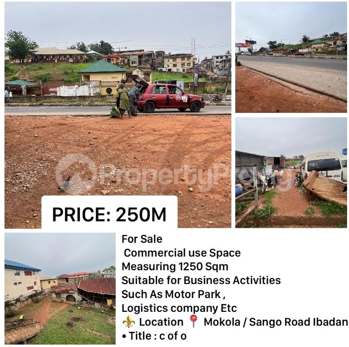 Land for sale Mokola / Sango Area Adamasingba Ibadan Oyo - 0