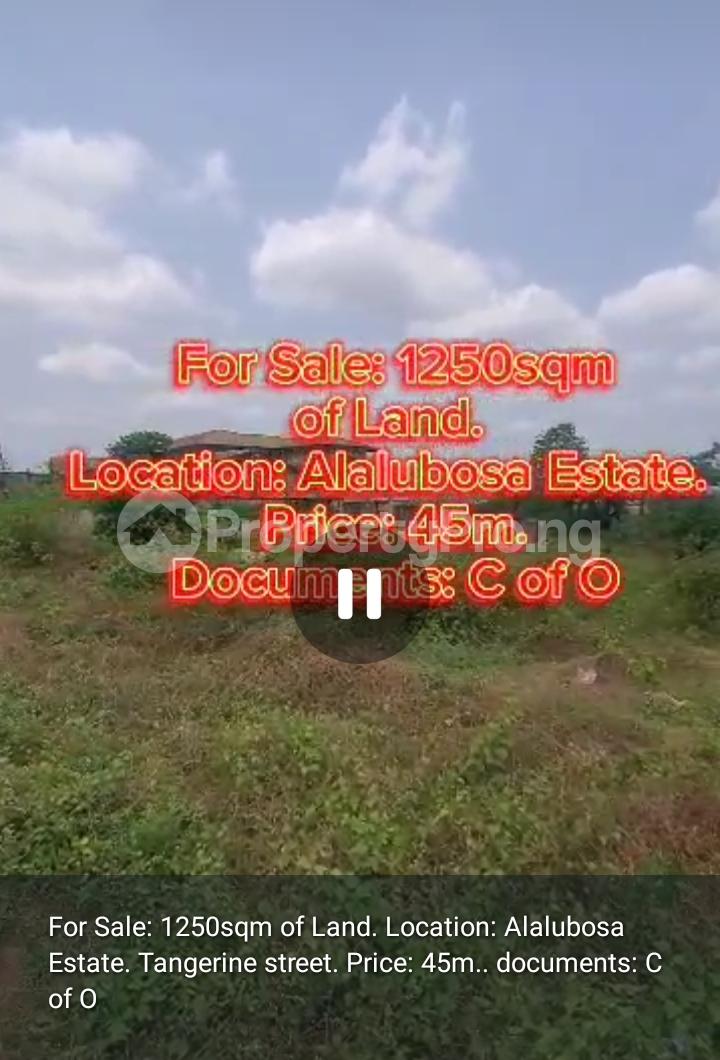 Land for sale Alalubosa Gra Ibadan Oyo - 1