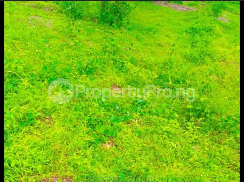 Land for sale Wuse 2 Abuja