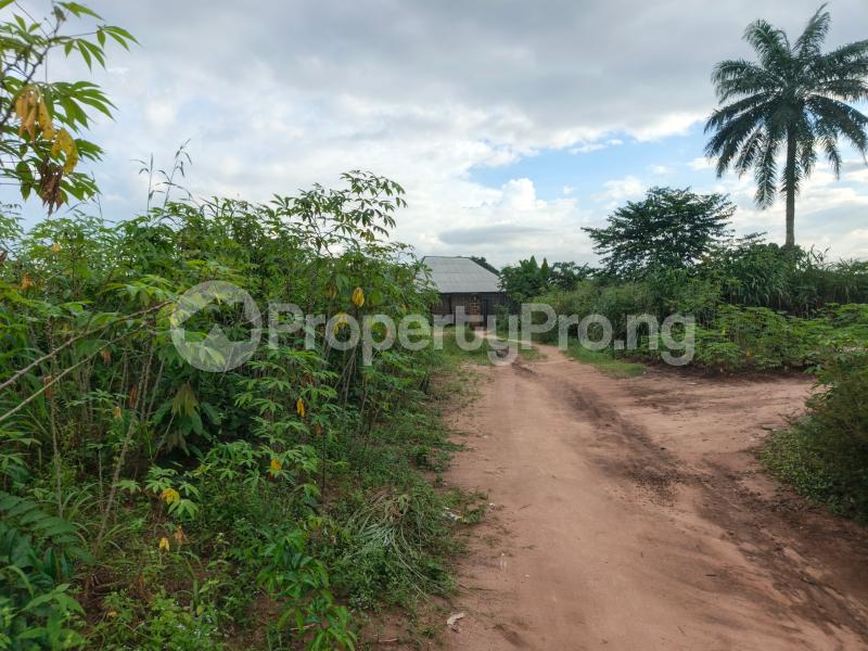 Land for sale Avu Off Ph Road Owerri Owerri Imo - 1