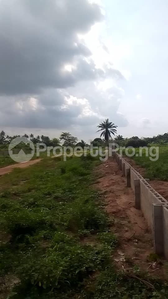 Land for sale Igbonla Community Epe Epe Road Epe Lagos