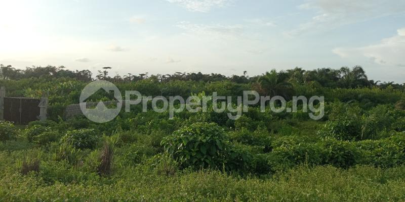 Land for sale Off Dangote Refinery Express Way Free Trade Zone Ibeju-Lekki Lagos - 0