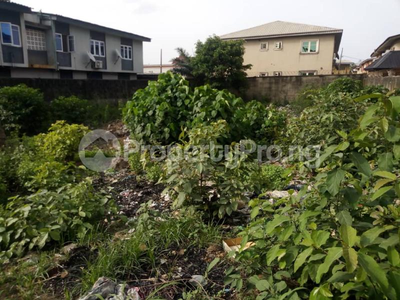 Land for sale Eda Odubo Street Off Doyin Omololu Street Alapere Ketu Lagos