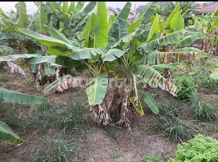 Land for sale Asanpa Ajila Estate Elebu Off Akala Express Ibadan Akala Express Ibadan Oyo