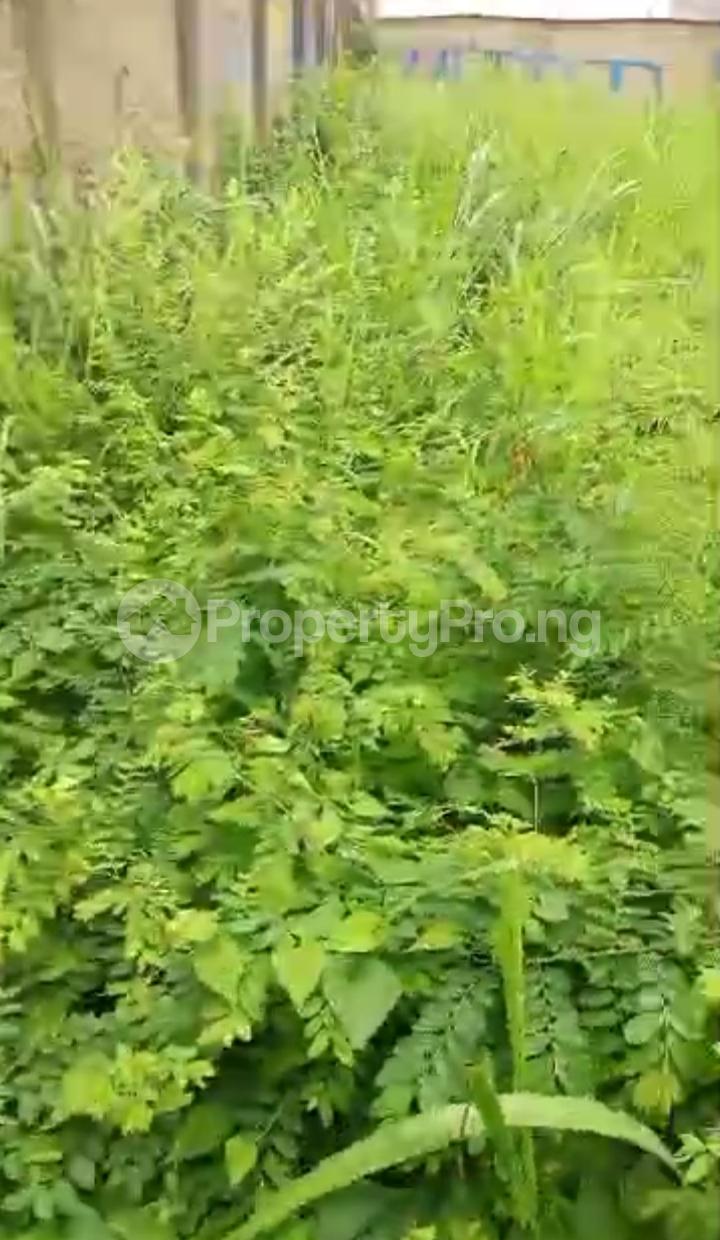 Land for sale Heritage Estate, Akala Express Ibadan Oyo - 2
