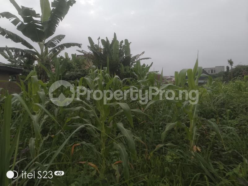 Land for sale Shalom Estate Idi Ope Junction Along Liberty Academy Road Akala Express Ibadan Oyo - 2