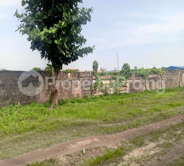 Land for sale Amuwo Odofin Amuwo Odofin Lagos