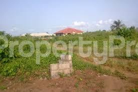 Land for sale Hampton Bay Estate By Cowrie Creek Estate Ikate Lekki Lagos