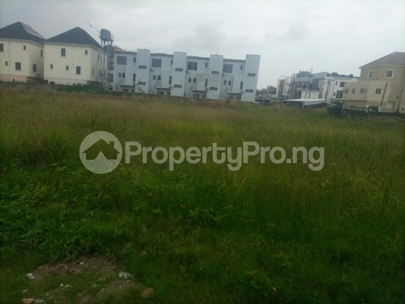 Land for rent Ikate Elegushi Lekki , Lagos State. Ikate Lekki Lagos