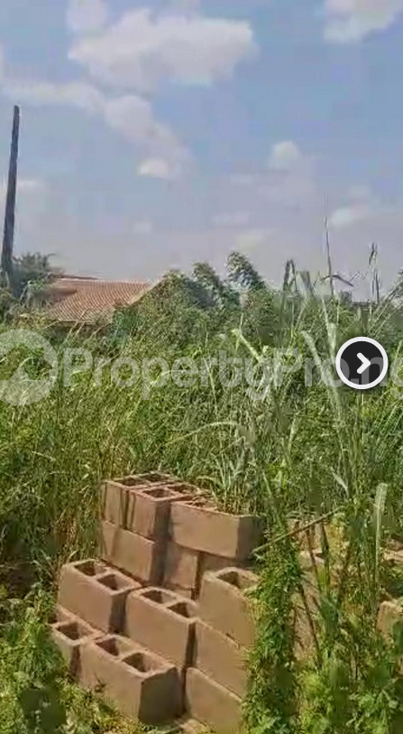 Land for sale  Akala Express Ibadan Oyo - 2