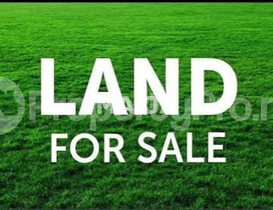 Land for sale Karounwi Off Kilo, Surulere Lagos - 0