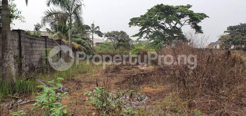Land for sale Lekki Phase 2 Lekki Lagos - 0