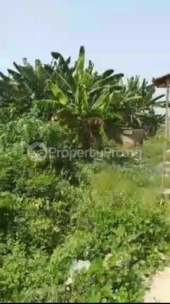 Land for sale Alasalatu Agric Ikorodu Lagos