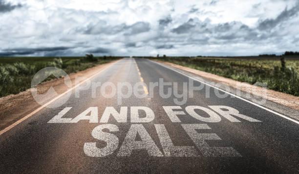Land for sale In A Close Gated Environment Off Social Club New Oko Oba Abule Egba Abule Egba Lagos - 1