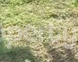 Land for sale Ikorodu Road Palmgroove Shomolu Lagos