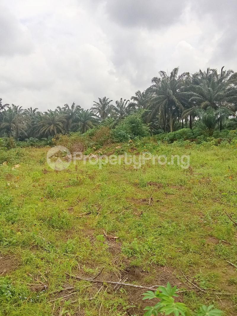 Land for sale Wuse 2 Abuja