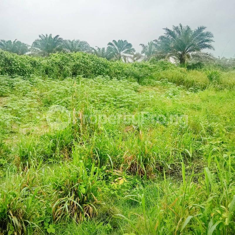 Land for sale Uyo Akwa Ibom