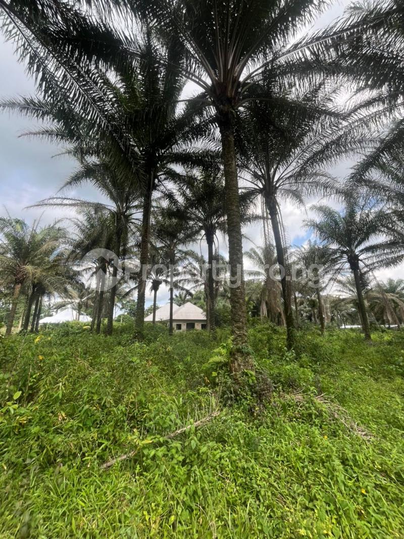 Land for sale Uyo Akwa Ibom