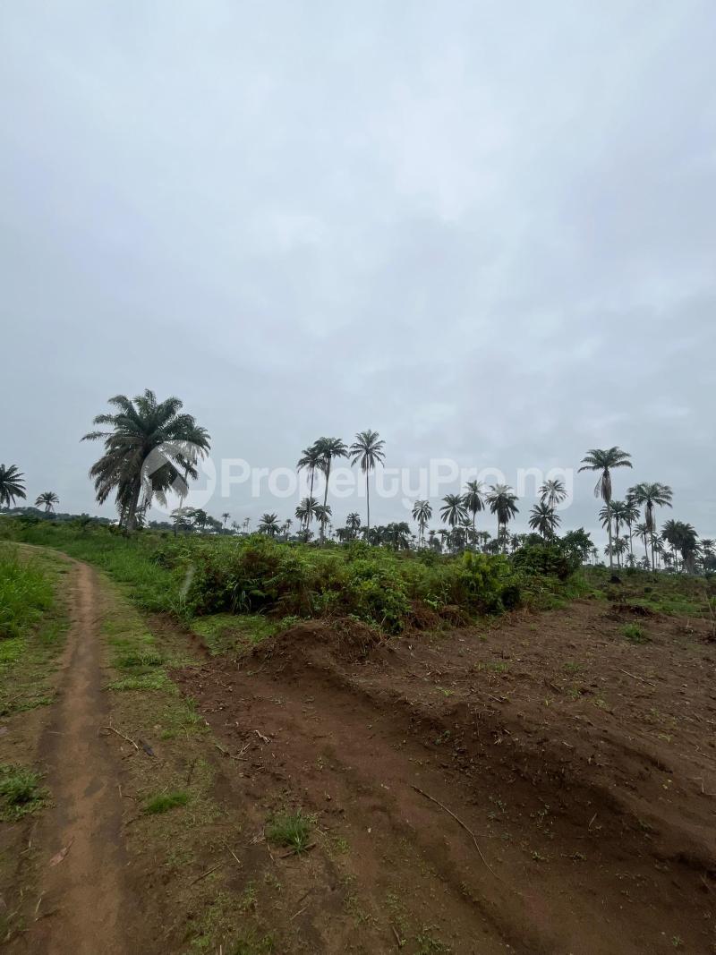 Land for sale Uyo Akwa Ibom