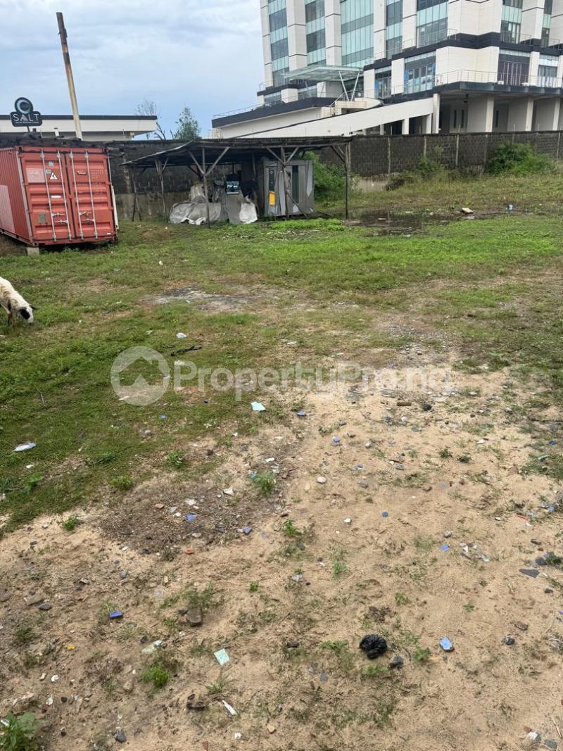 Land for sale Victoria Island Lagos