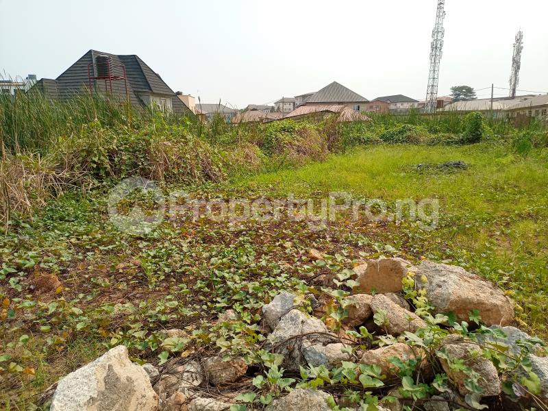 Land for sale Otunba Taofeek Ifako-gbagada Gbagada Lagos - 2