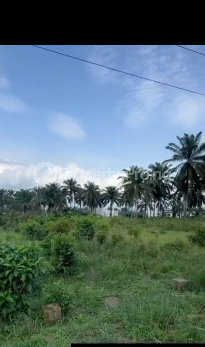 Land for sale Uyo Akwa Ibom