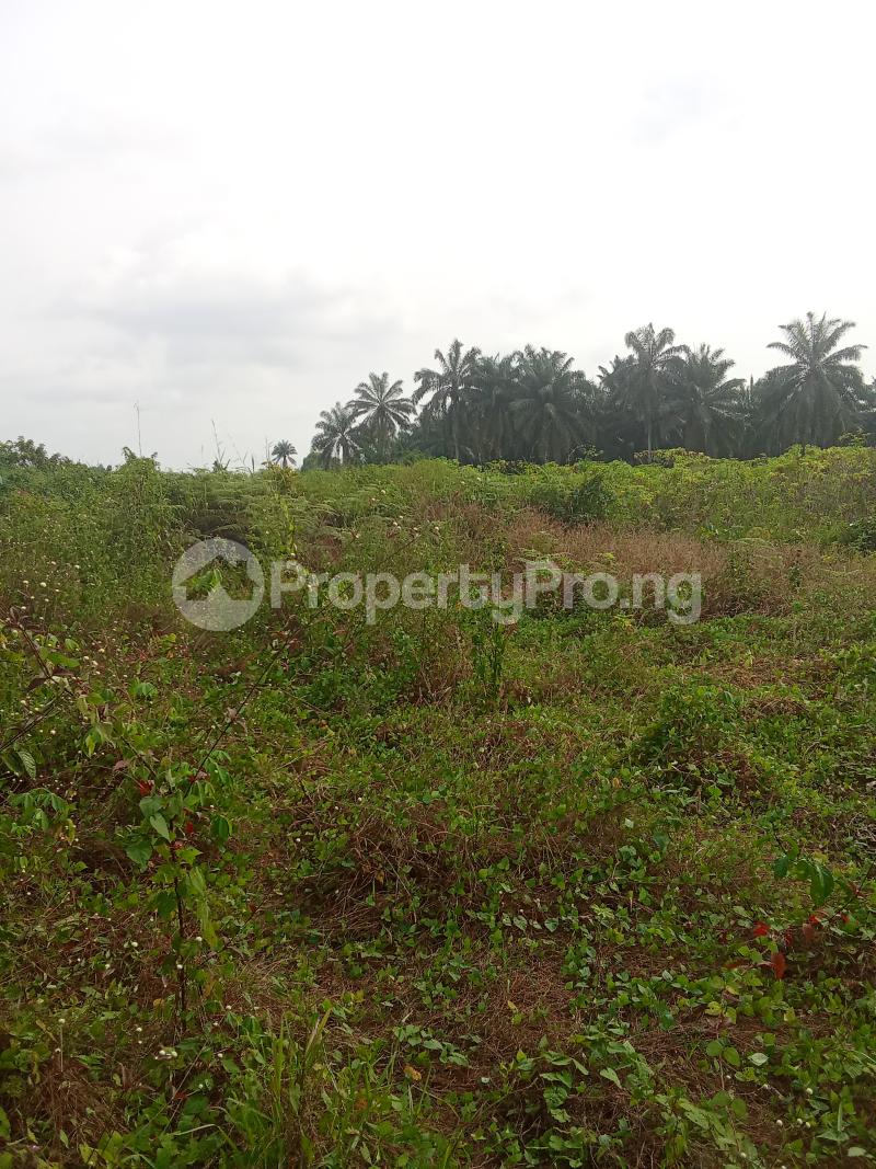 Land for sale Uruan Akwa Ibom