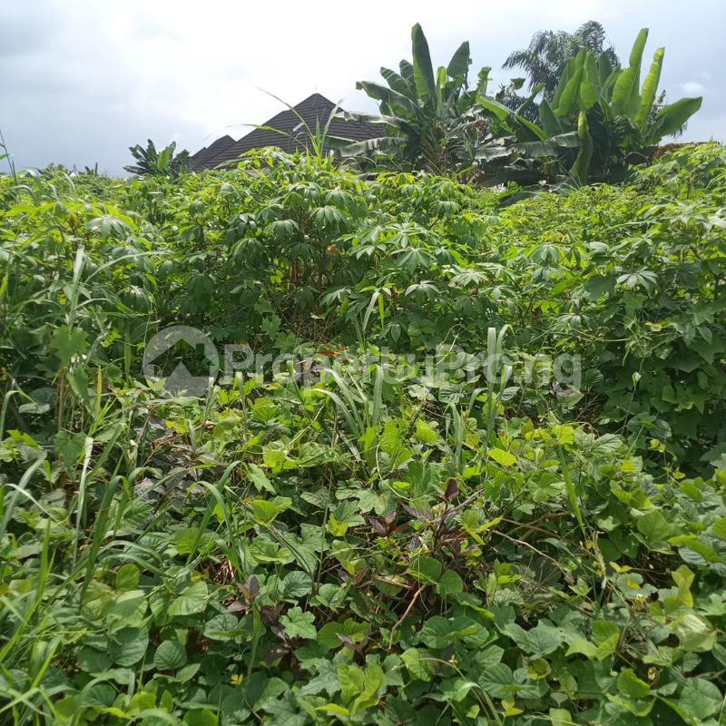 Land for sale Uyo Akwa Ibom