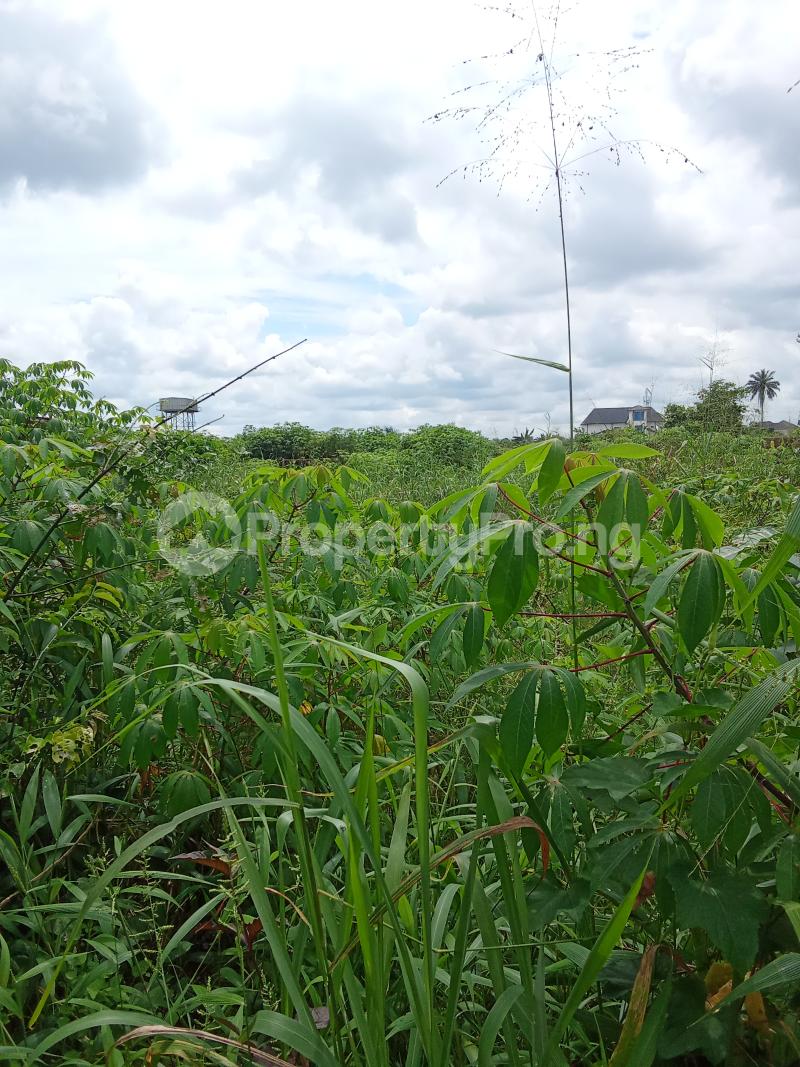 Land for sale Uyo Akwa Ibom