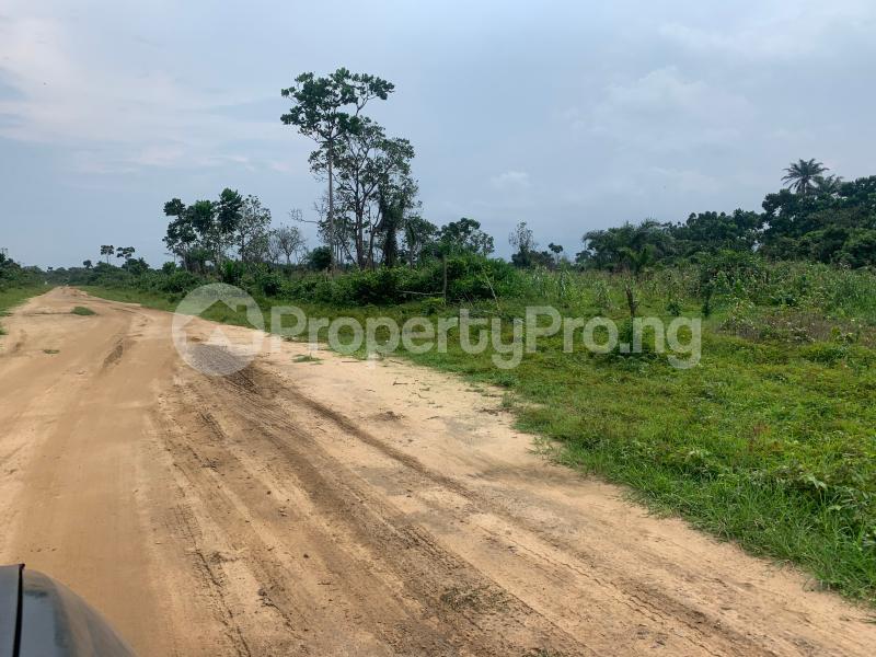 Land for sale Off Port Harcourt/ Aba Expressway Akpajo Obia-Akpor Port Harcourt Rivers - 3