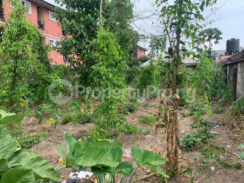 Land for sale Off Aluu Uniport Road Near Delta Park Port Harcourt Rivers - 3