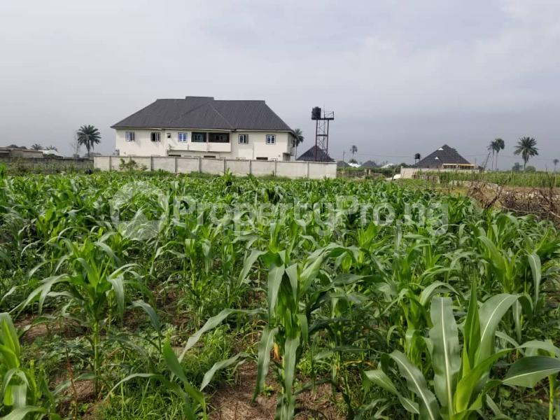 Land for sale Off Port Harcourt International Airport Road Port Harcourt Rivers