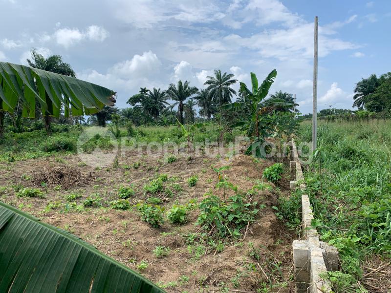 Land for sale At Quiet Haven Layout, Near Port Harcourt International Airport, Ipo Town Port Harcourt Rivers - 2